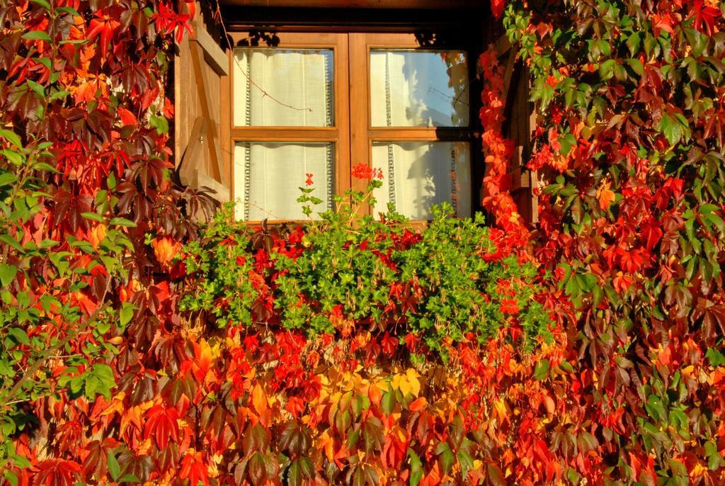 Hotel Selba D'Ansils Benasque Exterior foto